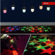 Catena LED Natale con Filo 6 Lampade/5Mt IP44 Effetto Stella su Pavimento - ABM